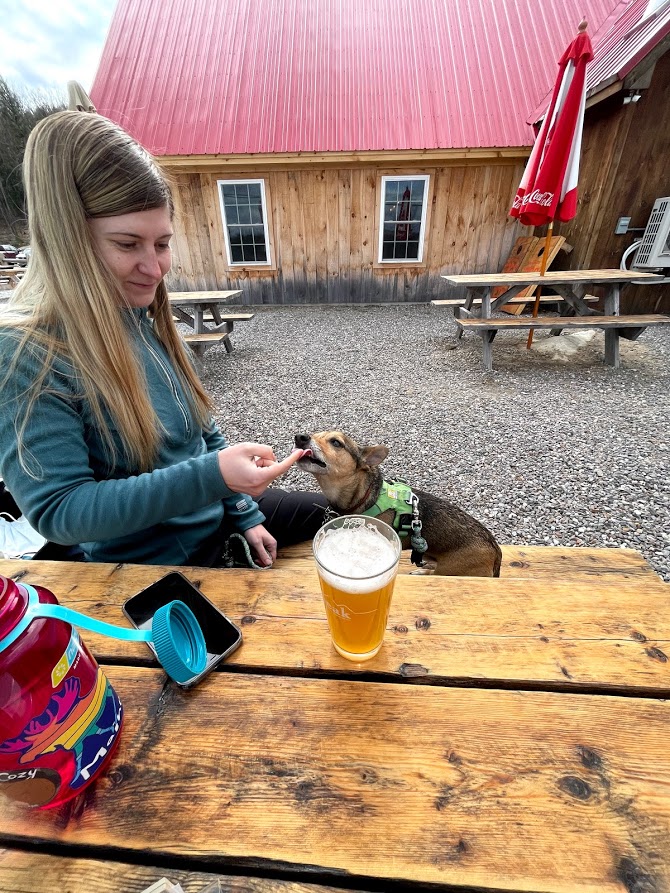 Dog Tasting Beer