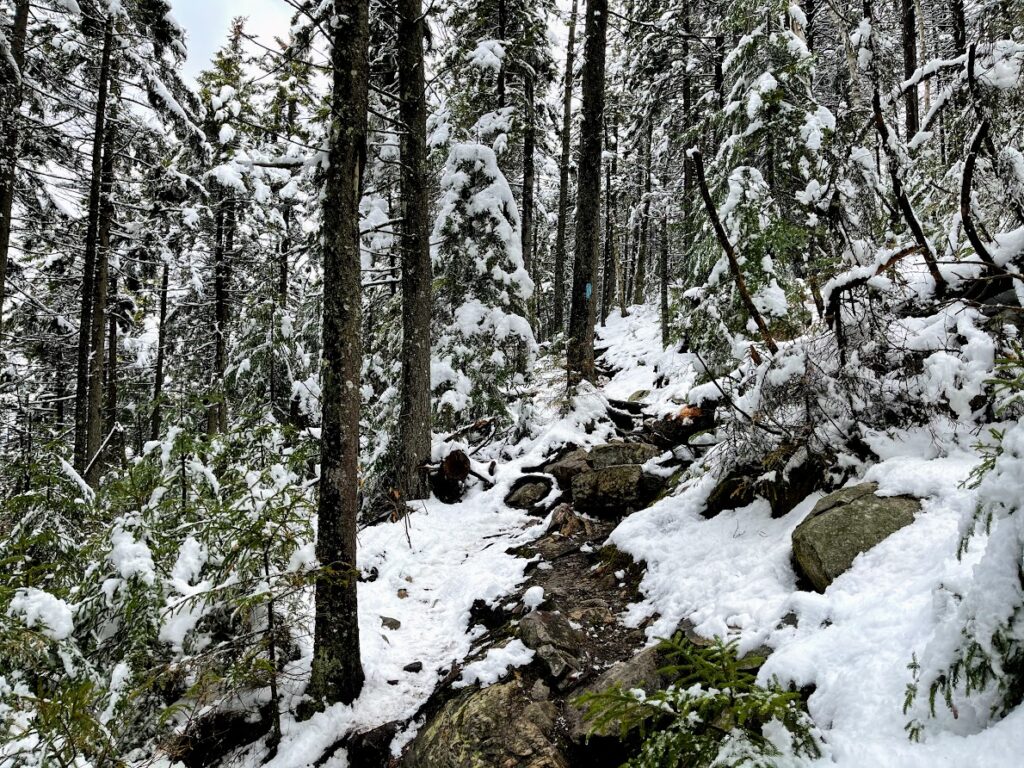 Snowy Trail up Mt Cube
